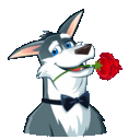 :Haskell_14: